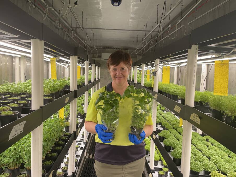 Disability Services Australia employee Louise Kitching loves preparing and growing herbs as part of the enterprise's Farm Fresh program. Picture by Briannah Devlin. 