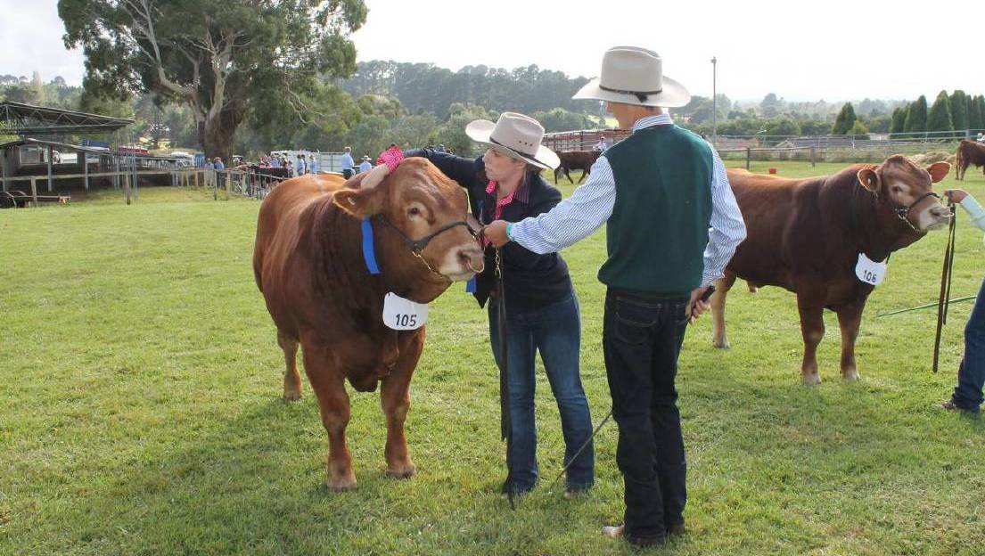 People can expect a full agenda for the Moss Vale Show, which makes a comeback in March. File picture. 