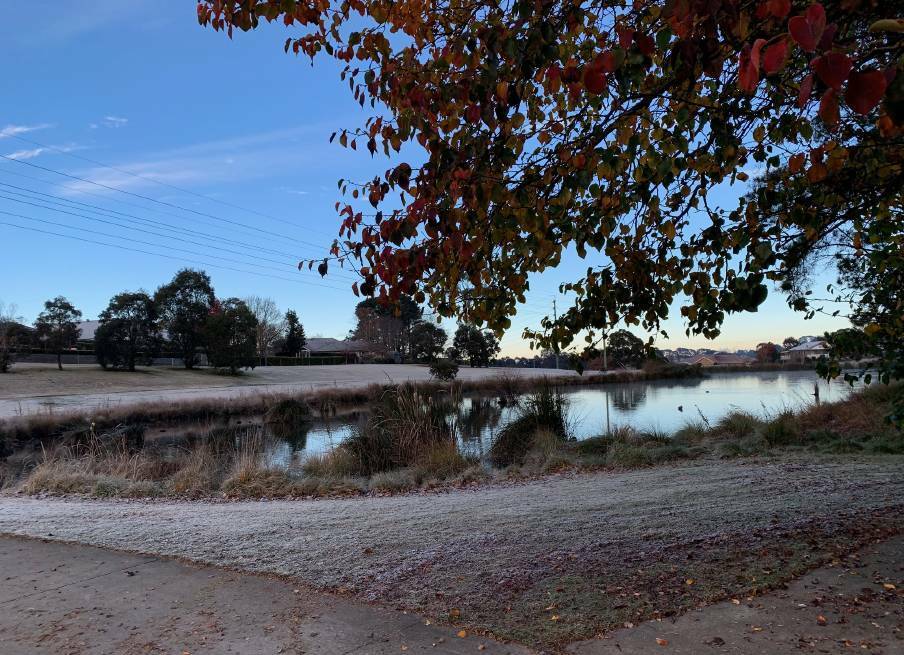 The frosts of Bowral. Picture: Jackie Meyers
