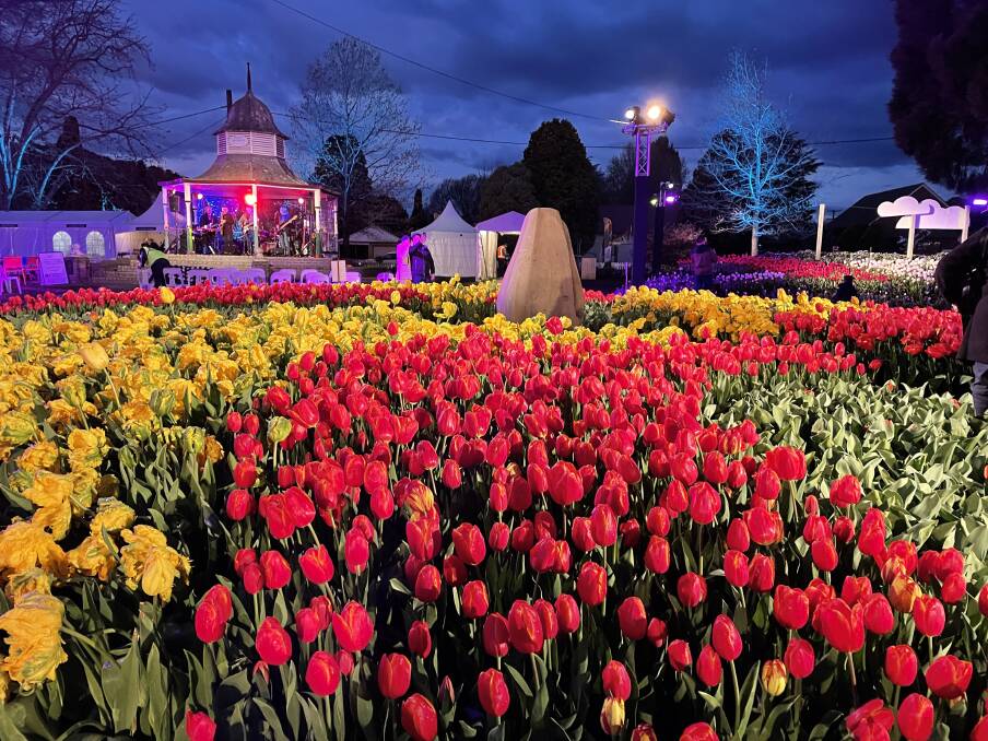 Tulips After Dark was a popular event this spring at the Corbett Gardens. Picture by Briannah Devlin. 