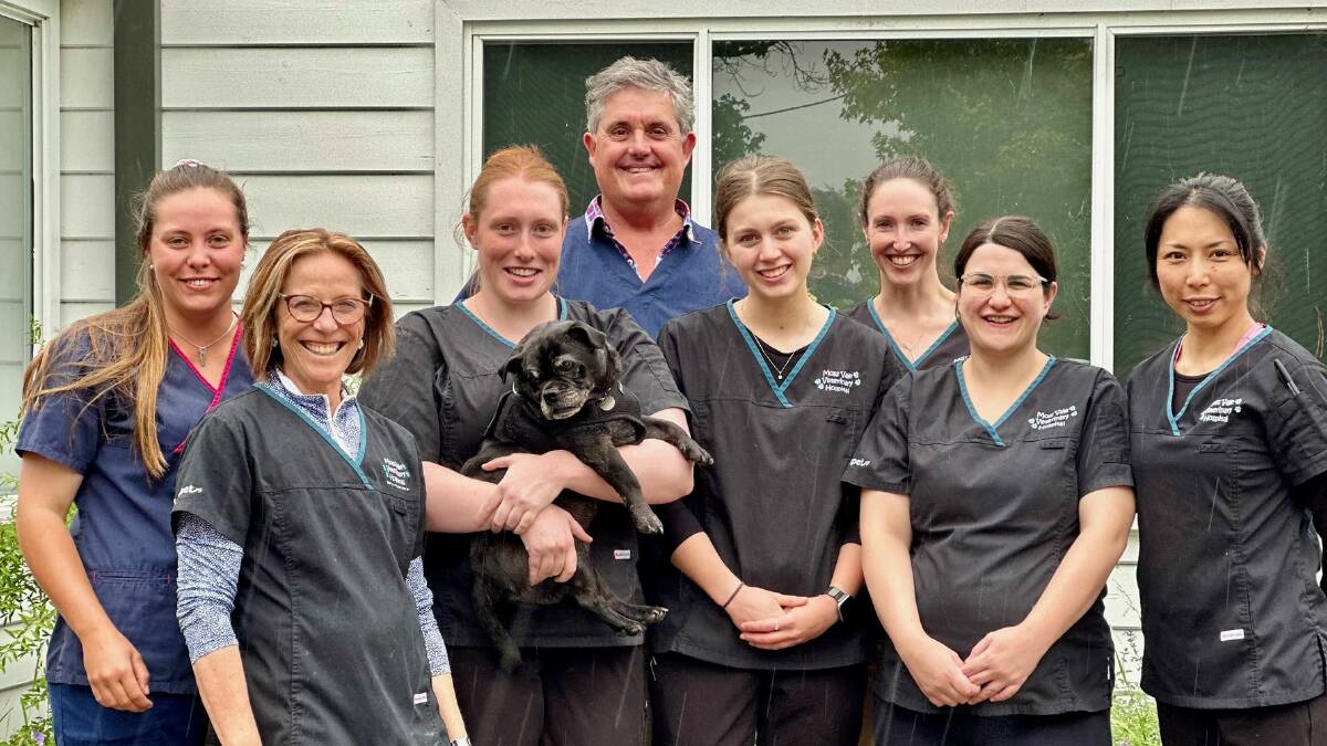 The team at Moss Vale Veterinary Hospital. Picture via Moss Vale Veterinary Hospital website
