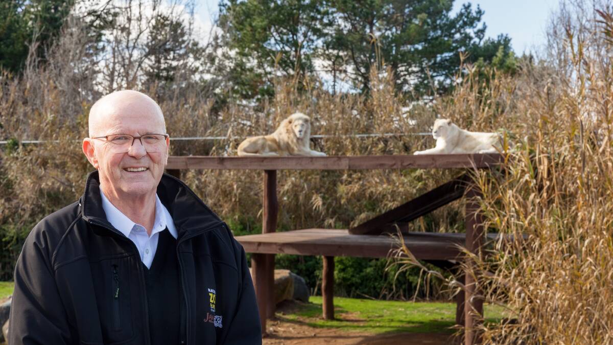 Mr Tindale says he feels a special bond with the white lions Jake and Mischka. Sitthixay Ditthavong