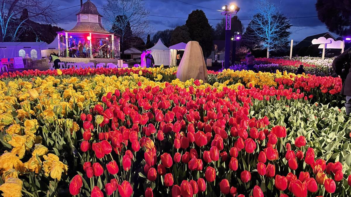 Tulip Time 2022 generated $1.8 million for the Highlands economy. Picture by Briannah Devlin. 