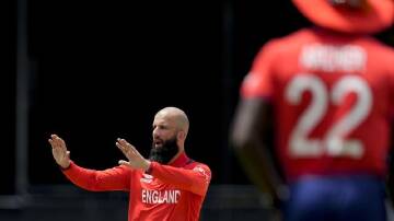England's Moeen Ali says England are used to backs-to-the-wall battling in World Cups. (AP PHOTO)