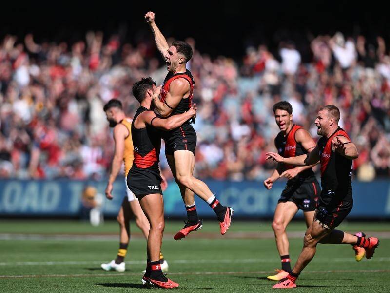 Bombers beat Hawks, but Reid injured again in AFL clash | Southern Highland  News | Bowral, NSW