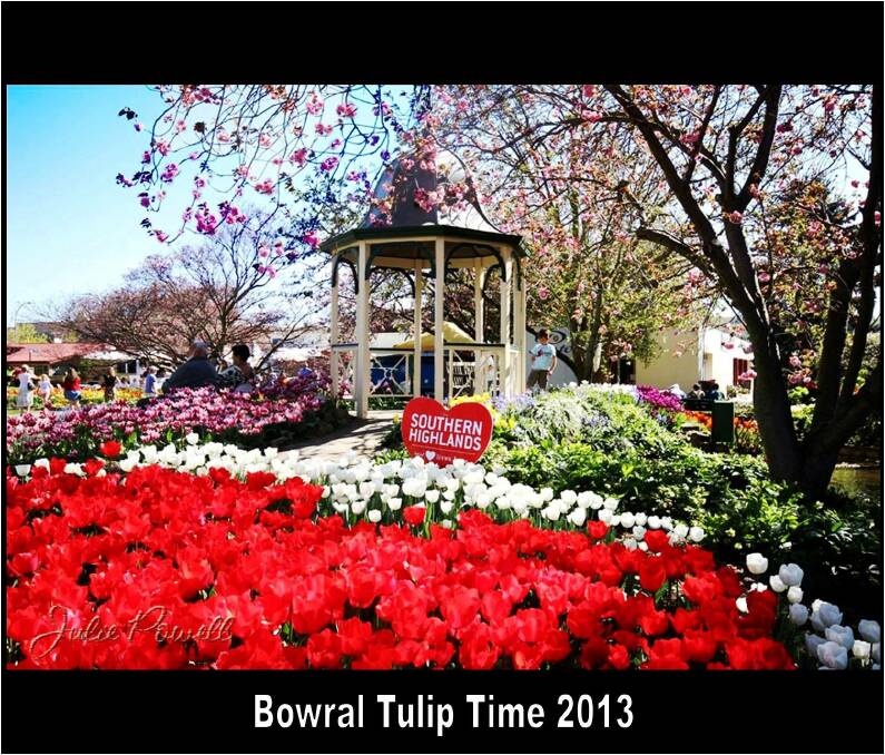 Corbett Gardens in Tulip Time, contributed b Julie Powell