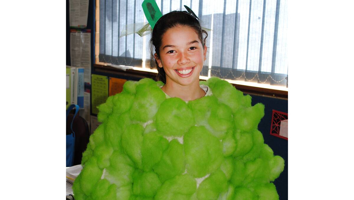 Zoe Molino easilly stepped into character as the green sheep from the book Where is the Green Sheep?